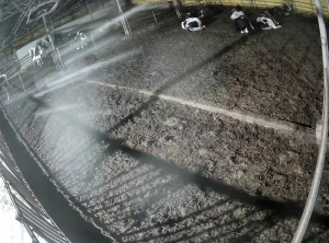 Caméra IP - South Korea