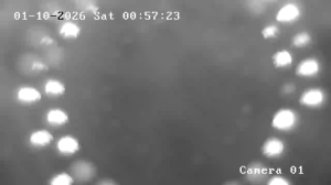 Caméra IP - Frankreich