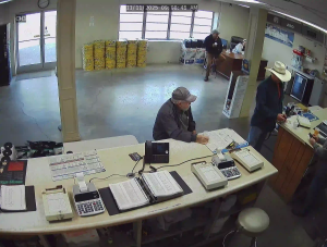 Caméra IP - United States of America