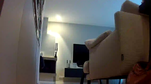 Caméra IP - Paesi Bassi