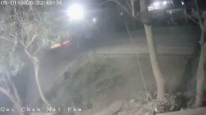 Caméra IP - Vietnam