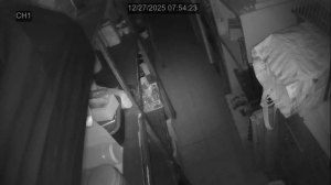 Caméra IP - United States of America