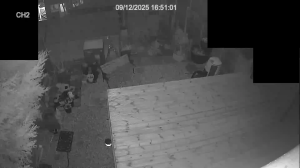 Caméra IP - Royaume-Uni