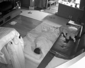 Caméra IP - Corée du Sud