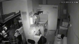 Caméra IP - Colombia