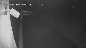 Caméra IP - New Zealand