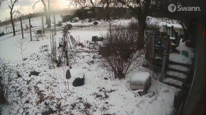 Caméra IP - Vereinigte Staaten von Amerika