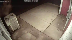 Caméra IP - États-Unis d'Amérique