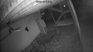 Caméra IP - États-Unis d'Amérique