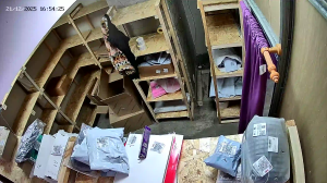 Caméra IP - Russische Föderation