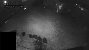 Caméra IP - Noruega