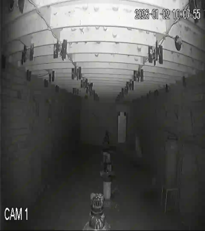 Caméra IP - Vietnam