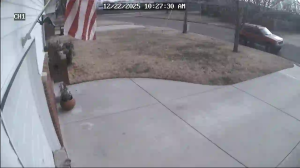 Caméra IP - Estados Unidos