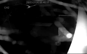 Caméra IP - Reino Unido