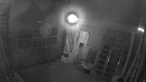 Caméra IP - Netherlands