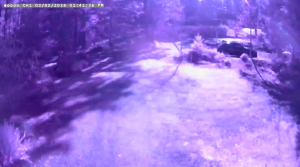 Caméra IP - Canadá