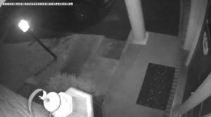 Caméra IP - Vereinigte Staaten von Amerika