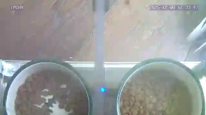 Caméra IP - Schweiz