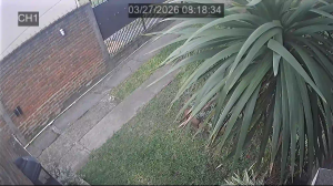 Caméra IP - Uruguay