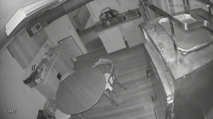 Caméra IP - États-Unis d'Amérique