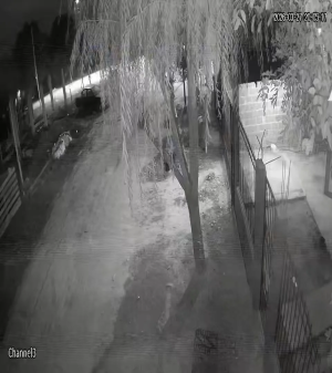 Caméra IP - Argentina