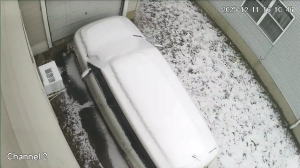 Caméra IP - États-Unis d'Amérique