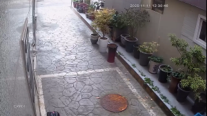 Caméra IP - Südkorea