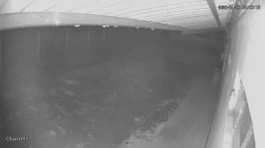 Caméra IP - Venezuela