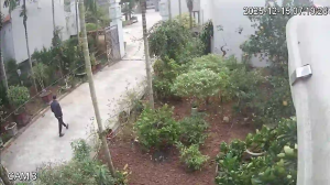 Caméra IP - Vietnam