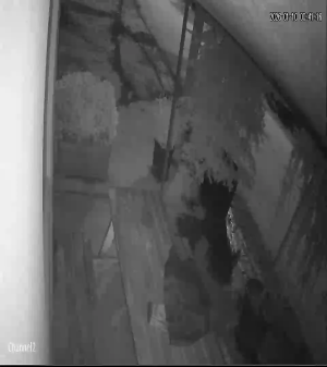 Caméra IP - Türkei