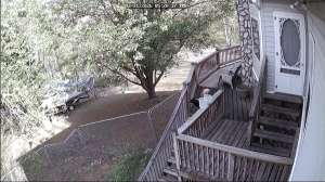 Caméra IP - United States of America