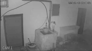 Caméra IP - Vue en direct