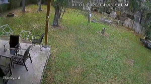 Caméra IP - United States of America