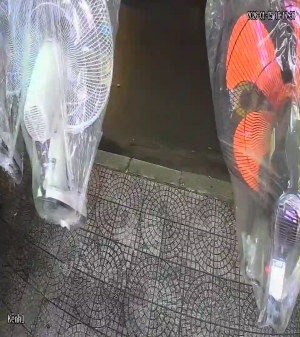 Caméra IP - Vietnam