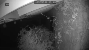 Caméra IP - États-Unis d'Amérique