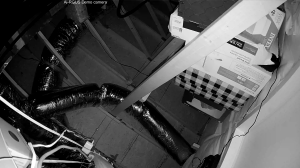 Caméra IP - Vereinigte Staaten von Amerika