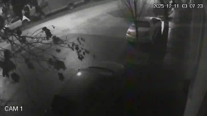 Caméra IP - Hungría