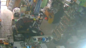 Caméra IP - Georgia