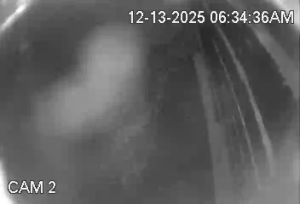 Caméra IP - United States of America