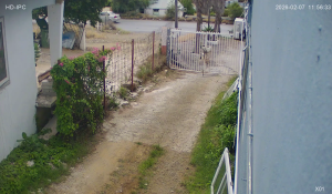 Caméra IP - Curaçao