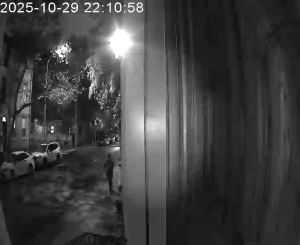 Caméra IP - Stati Uniti d'America