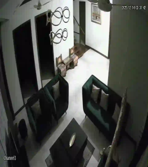 Caméra IP - Estados Unidos