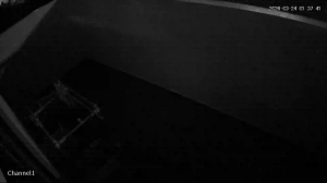 Caméra IP - Singapore