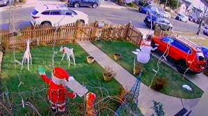 Caméra IP - United States of America