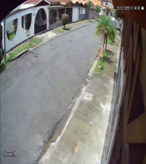 Caméra IP - Costa Rica