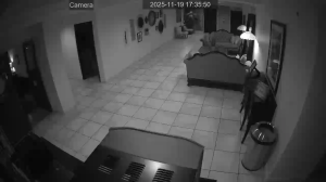 Caméra IP - United States of America