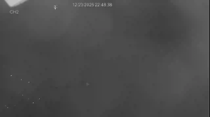 Caméra IP - Nouvelle-Zélande