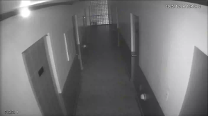 Caméra IP - South Korea