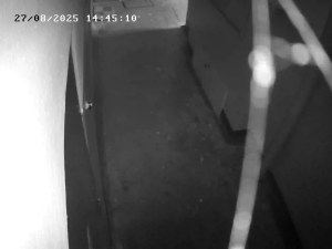 Caméra IP - Russian Federation