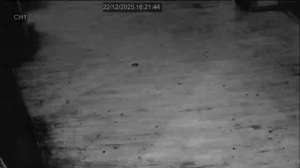 Caméra IP - Reino Unido